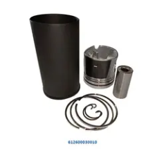 Piston Assembly Liner Kit Price WD618 LINER KIT Piston RING Diesel Engine Spare Parts