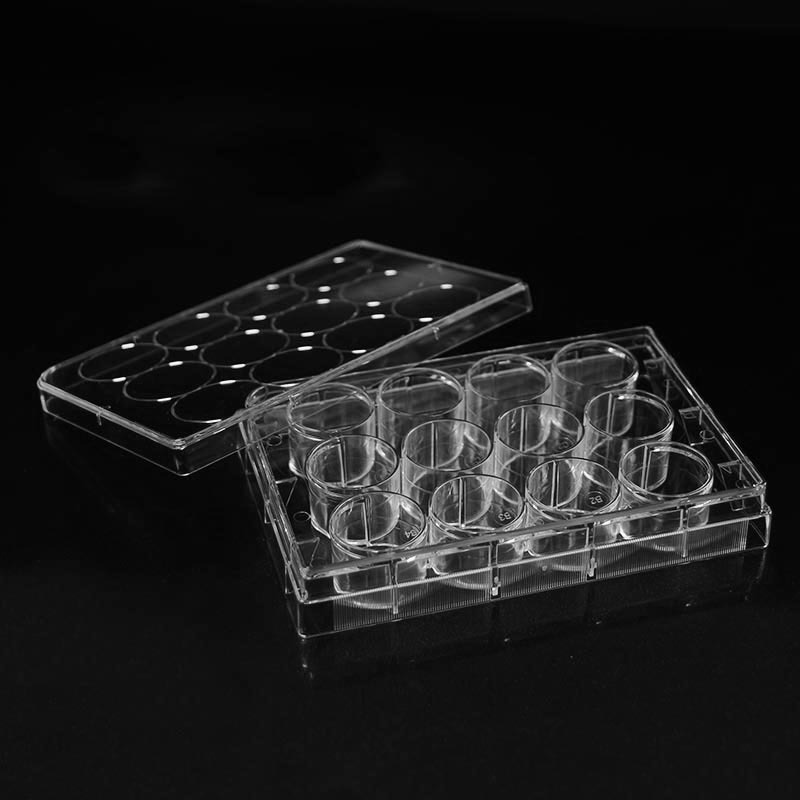 12 goed deursigtige kultuurplaat vir laboratoriumgebruik