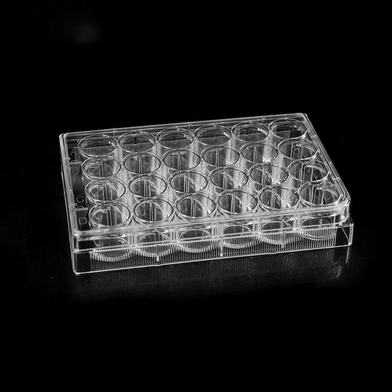 24 Goed platbodem deursigtige selkultuurplaat