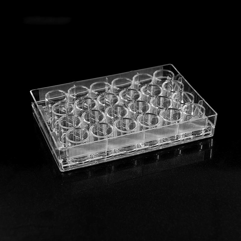 24 Goed platbodem deursigtige selkultuurplaat