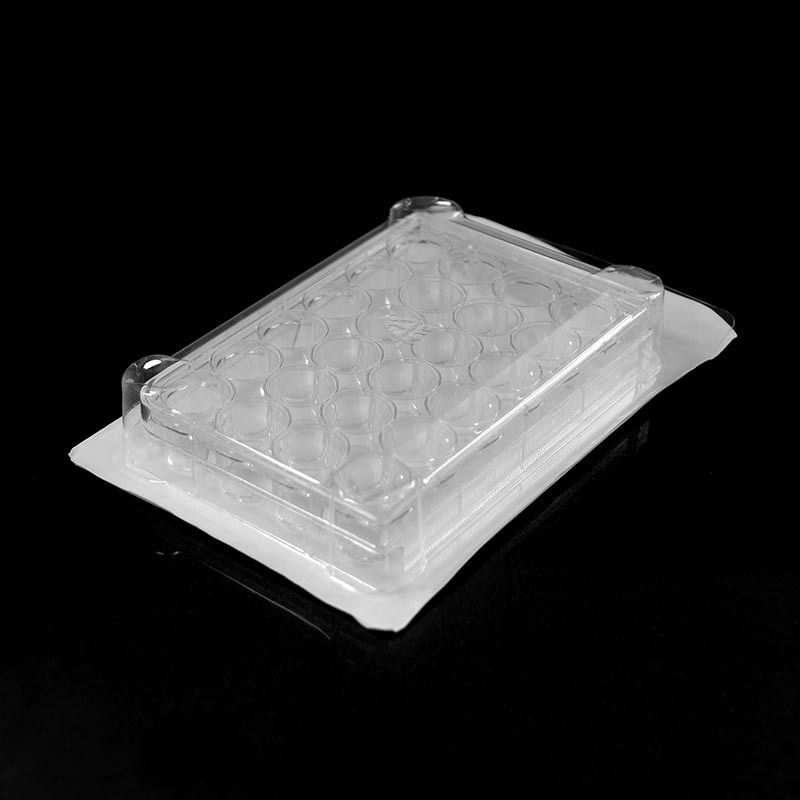 24 Goed platbodem deursigtige selkultuurplaat