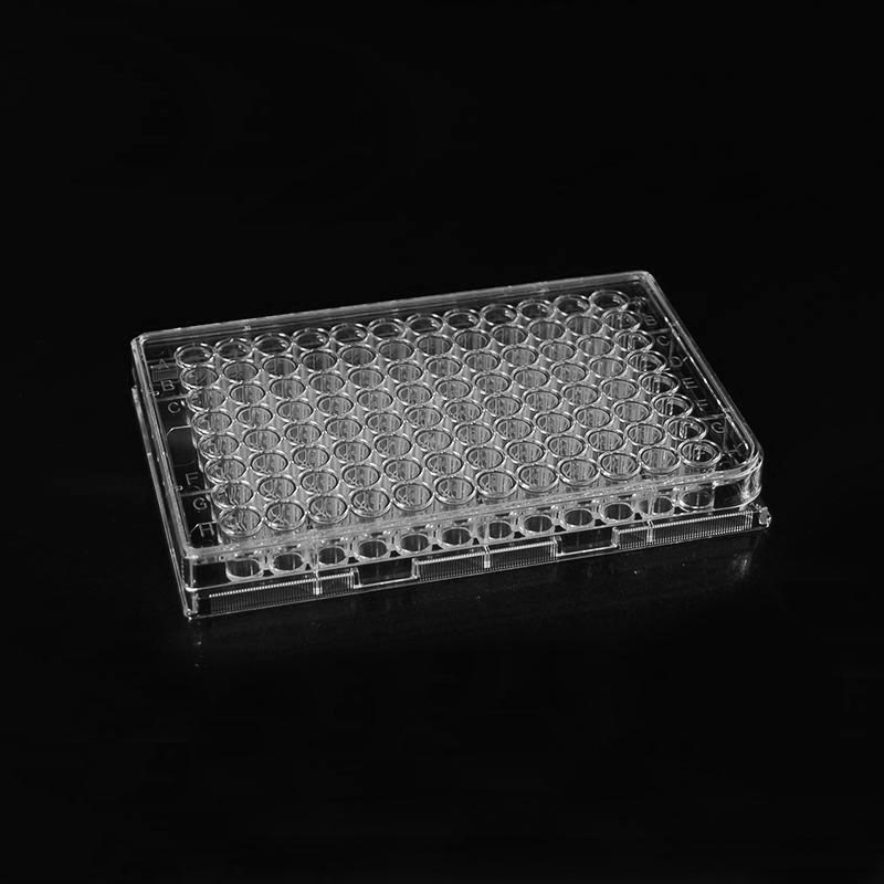 Placa de cultivo de 96 pocillos utilizada para cultivo celular