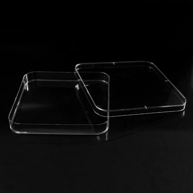 130 x 130 mm quadratische PS-Petrischalen, belüftet