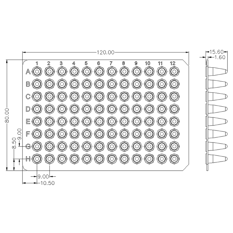 Placa de PCR sin faldón de 0.1 ml que se ajusta a bloques estándar de 96 pocillos