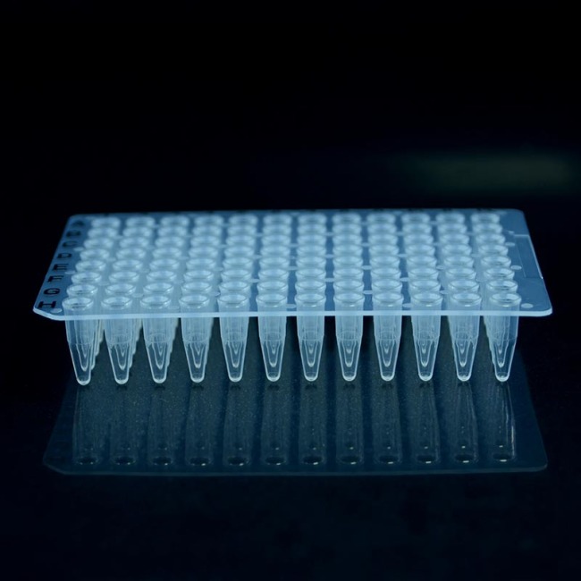 Placa de PCR de 96 ml sin faldón de 0.2 pocillos para laboratorio