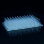 96-Well-0.2-ml-PCR-Platte ohne Rand für das Labor