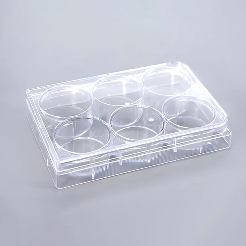 Wholesales Cell Culture Plates 12 Well