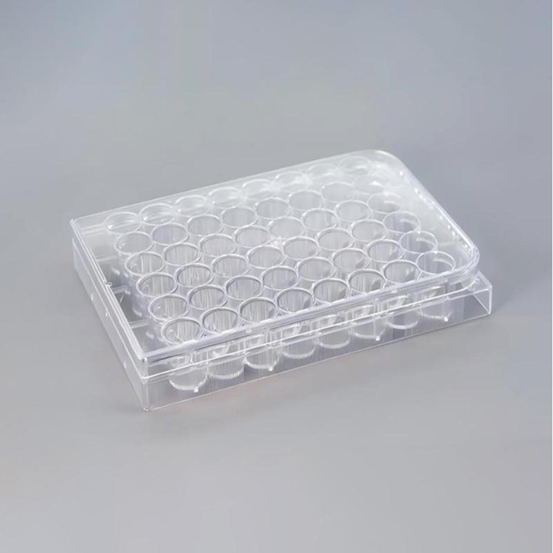 Wholesales Cell Culture Plates 12 Well