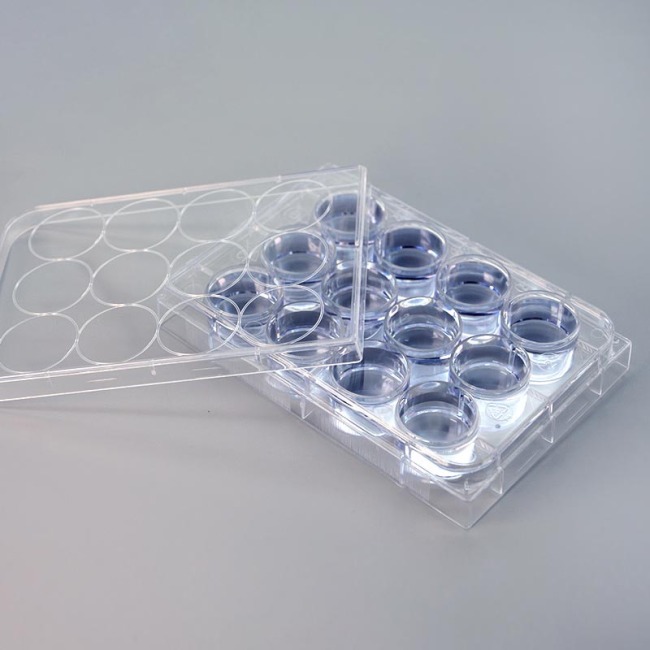 Wholesales Cell Culture Plates 12 Well