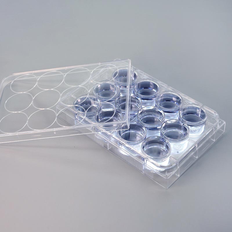 Wholesales Cell Culture Plates 12 Well
