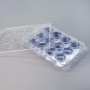 Wholesales Cell Culture Plates 12 Well