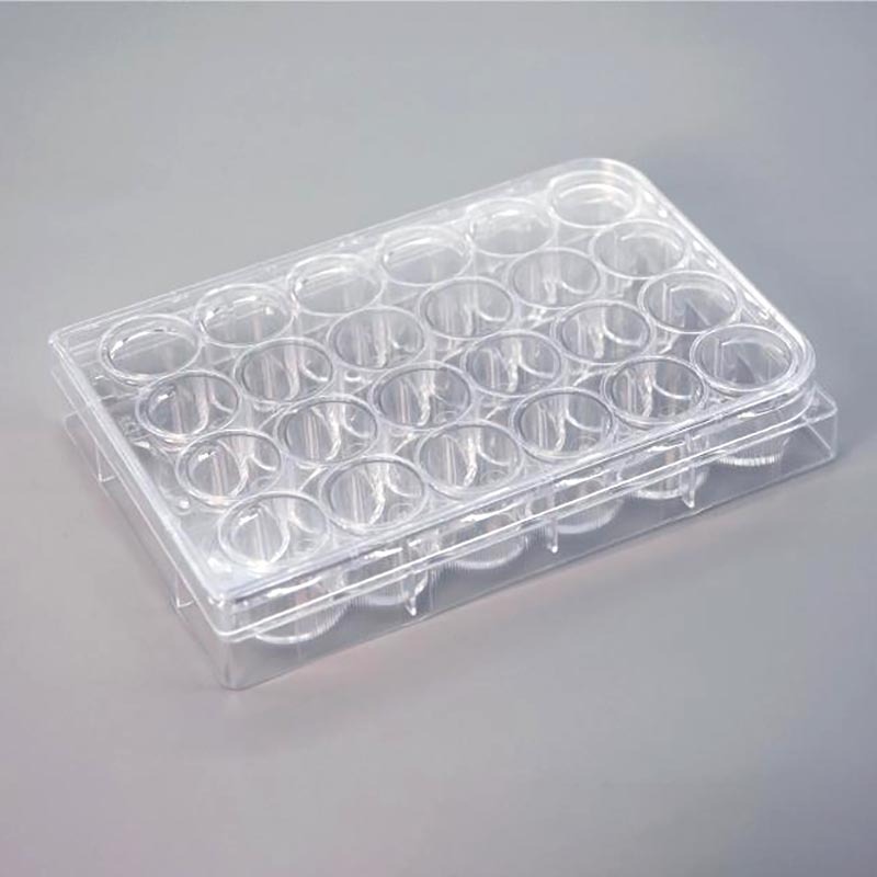 Wholesales Cell Culture Plates 12 Well