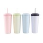 Custom Logo Classic Insulated Fashion  Cups with Straw