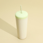 Custom Logo Classic Insulated Fashion  Cups with Straw