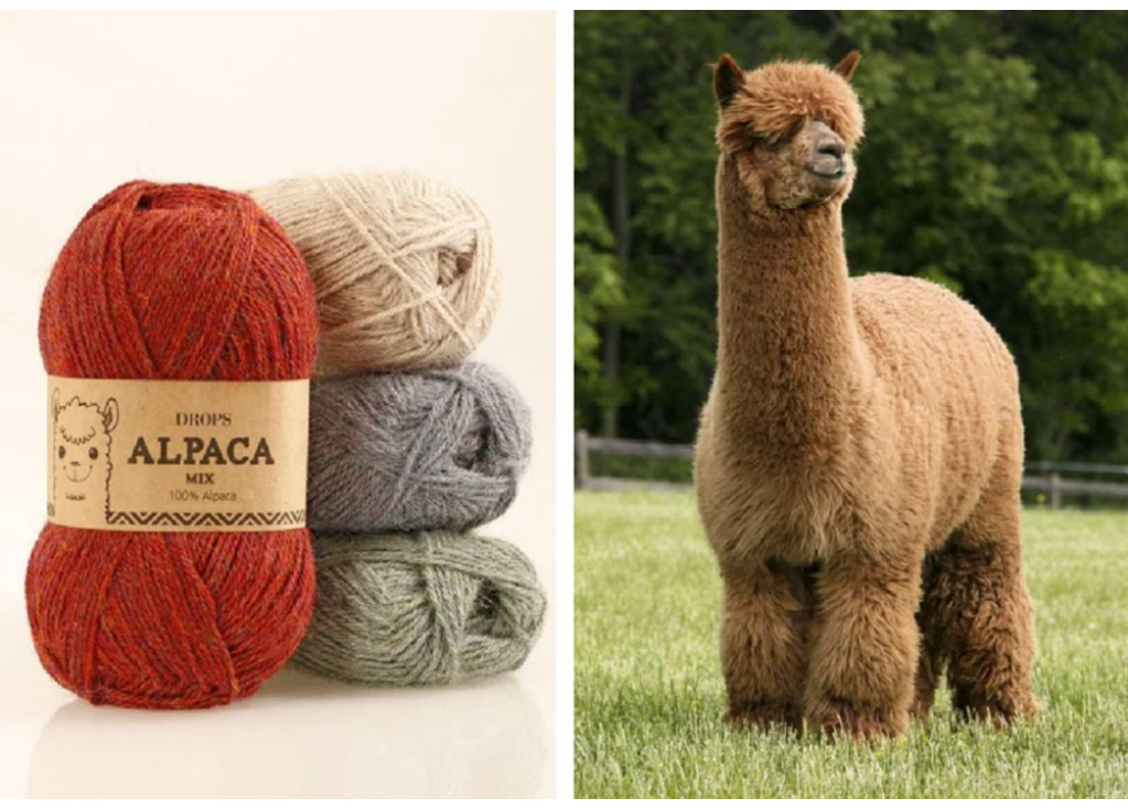 Alpaca Wool Socks: A Premium Natural Fiber for High-End Sock Brands