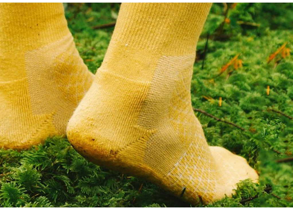 BioFiber-X:The Future of Sustainable Textiles