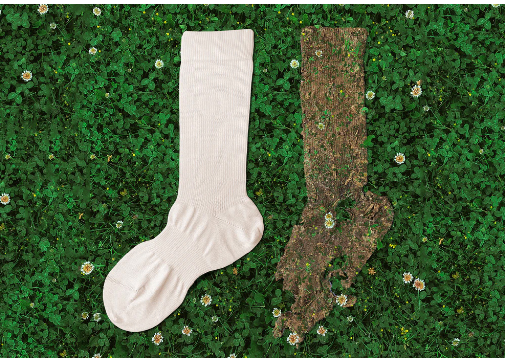Are biodegradable socks available in 2025?