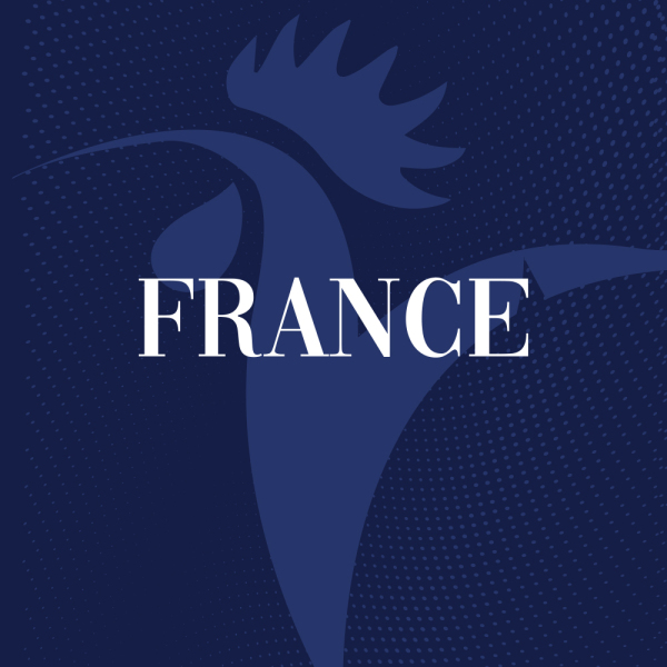 Custom France football team grip sock design