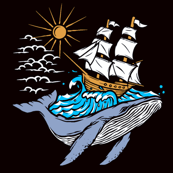 Whales swim under the waves of a sailboat 240109-04