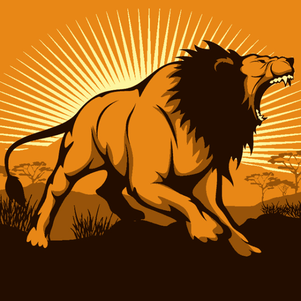 The wild lion roars on the grassland 231211-05