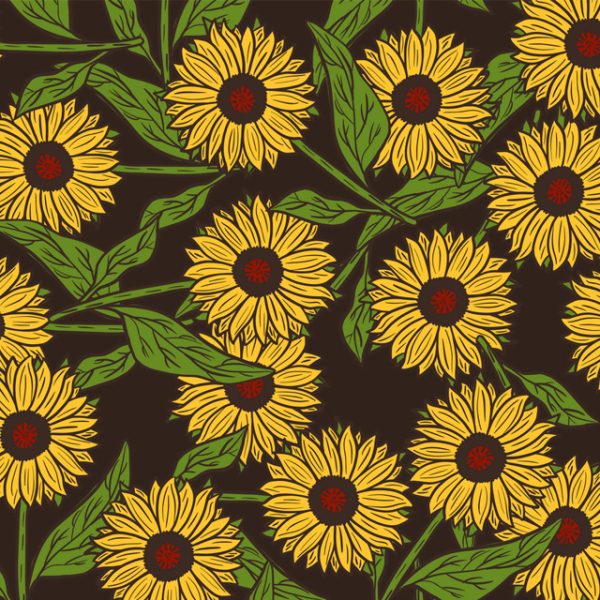 The dense sunflowers are in full bloom 231225-18