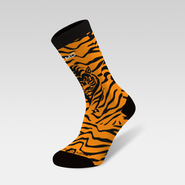 Tiger stripes and walking tigers 231201-13