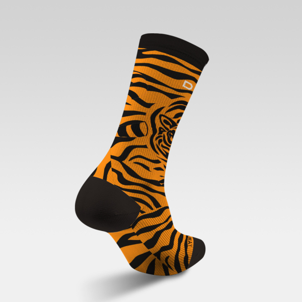 Tiger stripes and walking tigers 231201-13