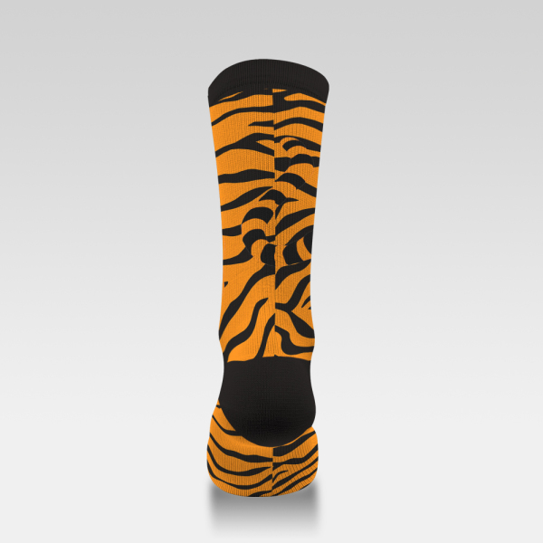 Tiger stripes and walking tigers 231201-13