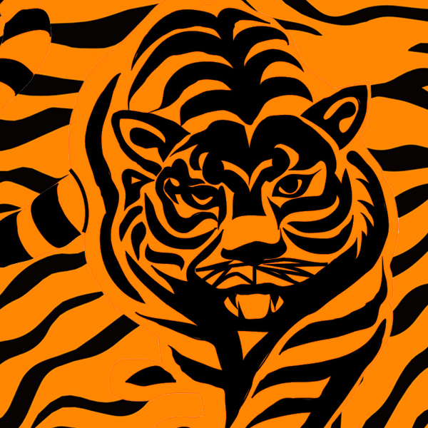 Tiger stripes and walking tigers 231201-13