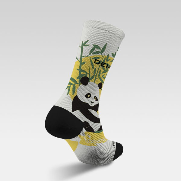 Two loving panda couples get together 240102-16