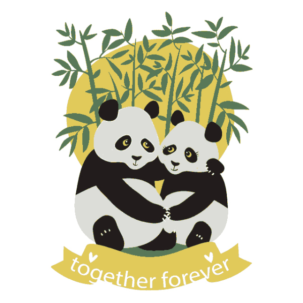 Two loving panda couples get together 240102-16