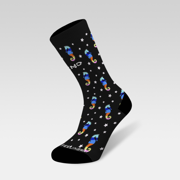 Rainbow-striped seahorses and stars 240108-10
