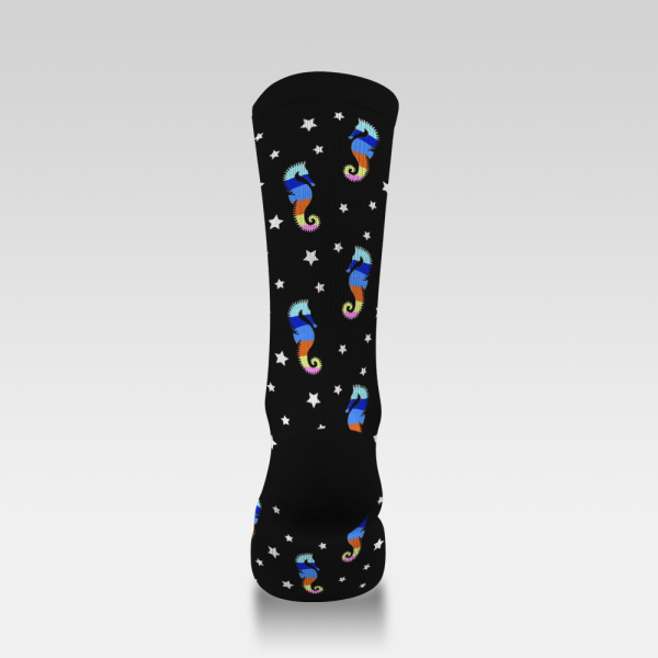 Rainbow-striped seahorses and stars 240108-10