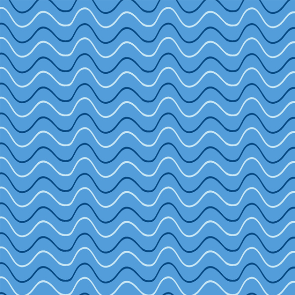 The continuous wavy curve of the river 231219-08