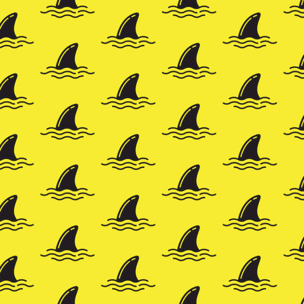 Simple and cute shark fin arrangement 240108-02