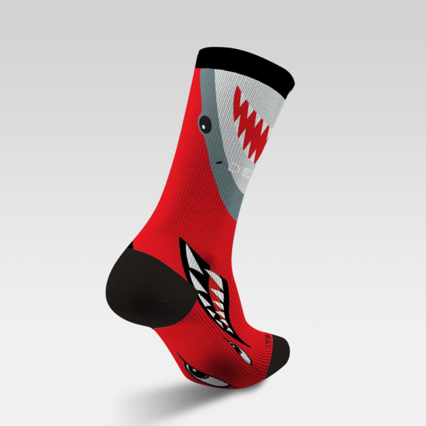 The fierce shark bared its sharp teeth 240108-05
