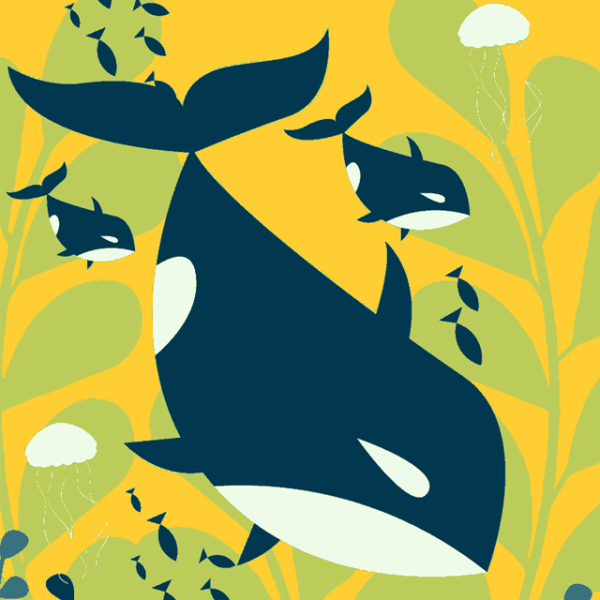 Whales swimming among the seaweed 240109-02