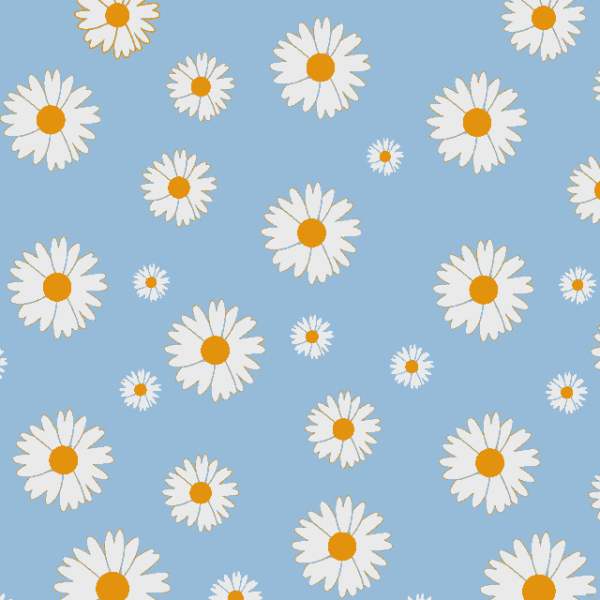 Simple Daisy flowers in full bloom 231226-12