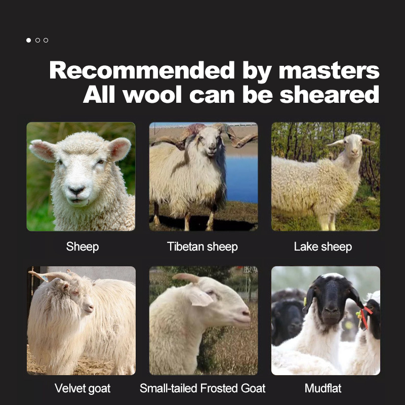 Ananke Tools Cordless Sheep Shearing High Power Electric Sheep Shearing lithium wool Clipper