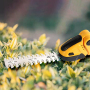 Factory 2 in 1 Single Handle Quick Cordless Rechargeable Lithium Battery Lawn Hedge Electric Pruner Power Shears Hedge Trimmer