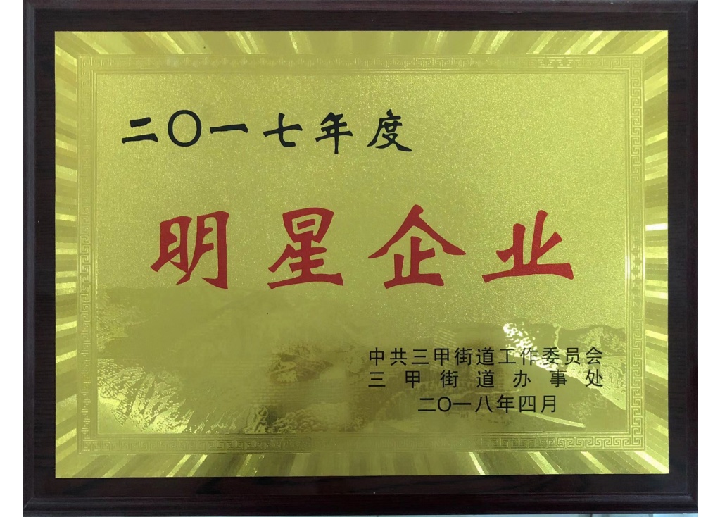 Chlono: Grad Zhejiang Taizhou nagrađen kao Godišnja zvijezda poduzeća 2017.