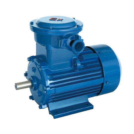 Explosion-proof Electric motor