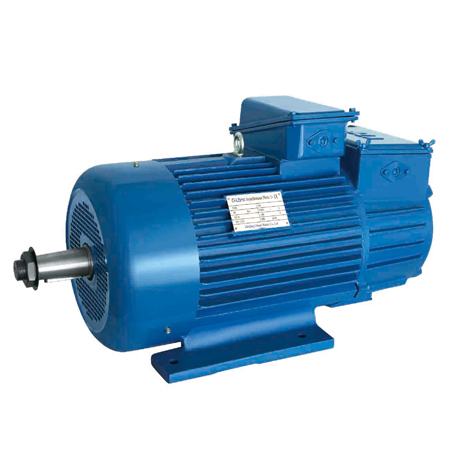 Definite purpose electric motor