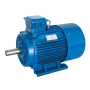 ANP series Three-Phase Asynchronous Motors