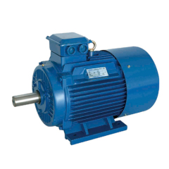 YE2/IE2 Series Three-Phase Asynchronous Motors