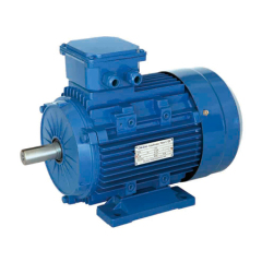 MS Series Aluminum Enclosure Three-Phase Asynchronous Motors