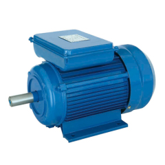 YL Series Single-Phase Dual-Capacitor Asynchronous Motors