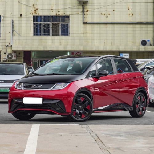 2024 Small Middle Car 420KM Free Fashion 50W Electric Cars BYD Seagull EV Car BYD Dolphin New Energy Vehicles