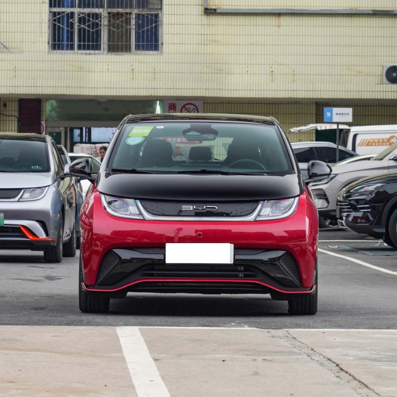 2024 Small Middle Car 420KM Free Fashion 50W Electric Cars BYD Seagull EV Car BYD Dolphin New Energy Vehicles