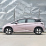 Hot Sell 2023 Fashion 95ps 420km Byd Dolphin 4 Wheel Mini Electric Cars For Adults